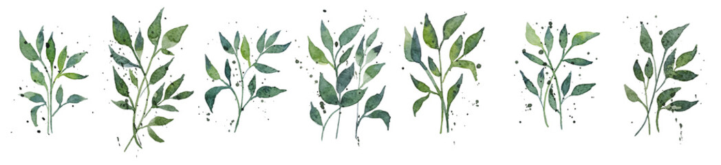 Set of watercolor design elements, branches, leaves, eucalyptus, painted in watercolor, botanical illustration isolated on transparent background.
