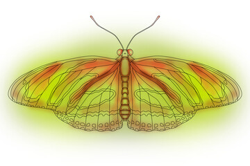 The butterfly is flying. Insect. Nature. Insects in nature.