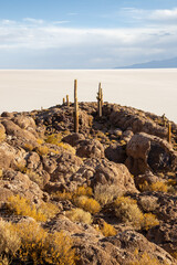 uyuni in bolivia is the largest salt flat in the world. 