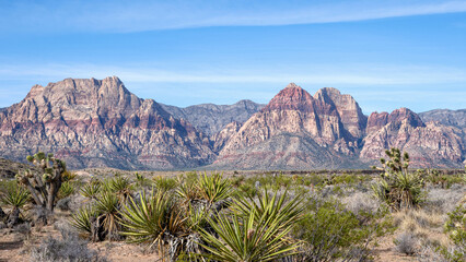 Red Rock Canyon National Conservation Area in Nevada