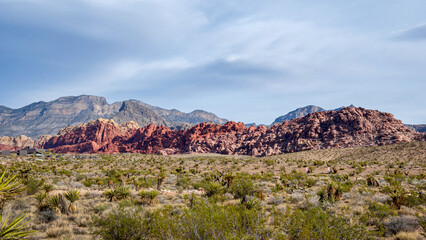Obraz premium Red Rock Canyon National Conservation Area in Nevada
