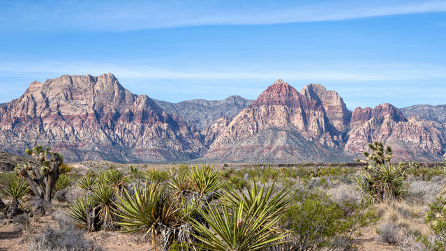 Red Rock Canyon National Conservation Area in Nevada