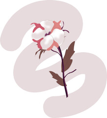 Cotton flowers on a light pink background. Delicate white fluffy cotton. Collection of cotton plants. Flower arrangement for design, template. Vector illustration