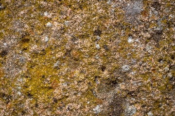 textura de piedra con musgo y líquenes - 496389485