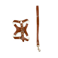 a set of tools for a person toys for dog and cat pet