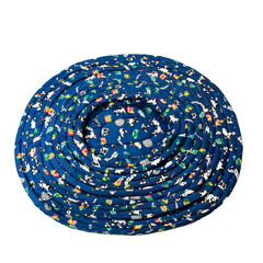 blue and white sphere isolated