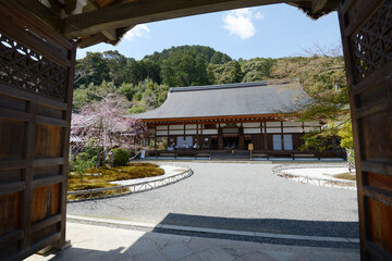 春の二尊院　勅使門から本堂を望む　京都市右京区嵯峨