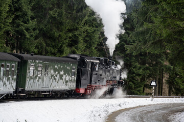 Schmalspurbahn - Dampflok mit Waggon