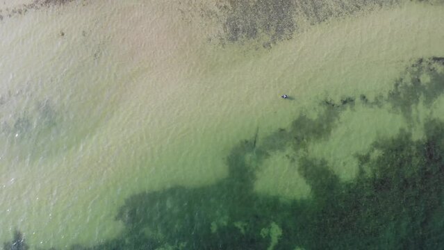 Luftaufnahme von Angler mit Fisch an Angel in Wathose im Wasser bei Sonne watend per Drohne gefilmt von oben