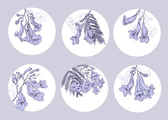 Collection templates flowers of jacaranda tree.Composition in circle outline and purple fill elements. Illustration for design wedding invite greeting card label business logo. Hand drawn sketch