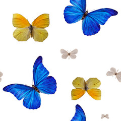 yellow blue butterfly seamless pattern