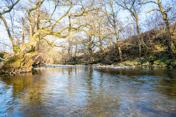 Hermitage Water - Hermitage River in the Scottish Borders