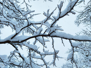 Winter. A lot of snow.