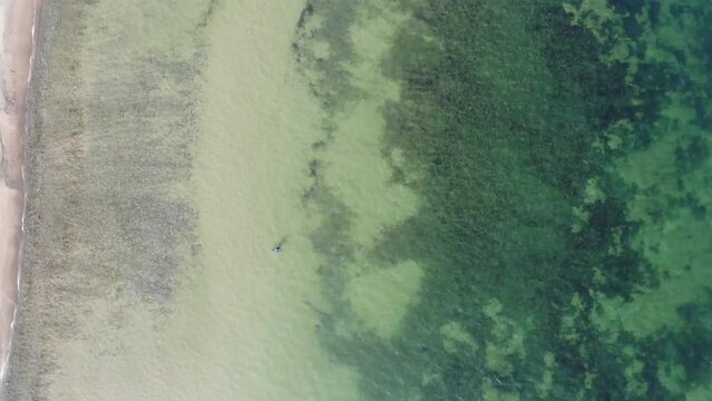 Luftaufnahme von Angler mit Fisch an Angel in Wathose im Wasser bei Sonne watend per Drohne gefilmt von oben