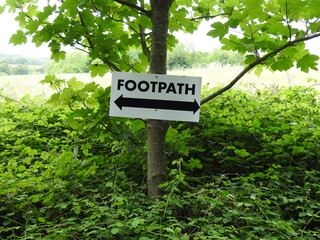 Fotpath sign on a tree trunk