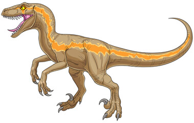 Velociraptor extinct reptile of mesozoic period. Vector illustration isolated