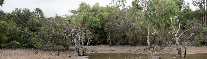 this is an Australian billlabong on Kangaroo Island