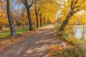 Obraz premium Path in the city park at autumn morning.