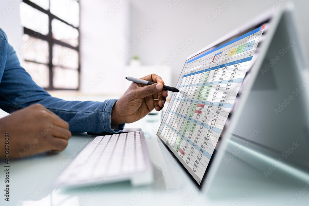 Poster Electronic Spreadsheet Analyst Or Auditor Using Software