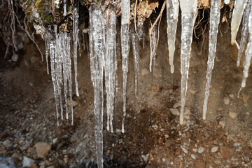 Icicles in the nature in Davos in Switzerland