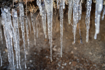 Icicles in the nature in Davos in Switzerland