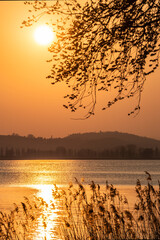 Traumhafter Sonnenuntergang Bodensee mit Sonne und Schilf 