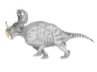 中生代白亜紀後期に中国大陸に生息していた大型の角竜。発見されたのは頭骨のみであるが、頭骨の長さは180センチとセントロサウルス類としては最大級の大きさを持つ。襟飾りの特徴はカスモサウルス類の特徴も有しており、原始的なセントロサウルス類とされる。アジアでは分類が確かな唯一種。ただ、個人的感想だが、中国の復元骨格はどうも生き物としての自然さに欠るものが多くあり、想像とリアリティのバランスに苦慮する。