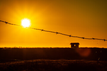 alambre de púas al atardecer