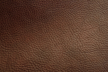 A close-up texture of real cowhide.