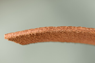 It is a cross-sectional photograph of real pigskins.