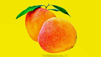 sweet ripe mango isolated on yellow background