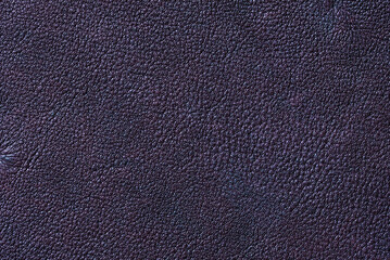 A close-up texture of real deer leather.