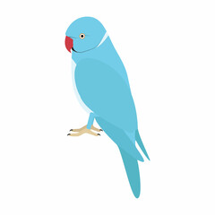 Rose-Ringed Parakeet. Parrot. Vector.