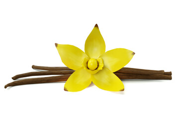 3D rendering - High resolution image Vanilla flower isolated on white background, high quality details