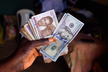 African hands holding multiple spread nigerian currency, money or cash with a two notes of american...