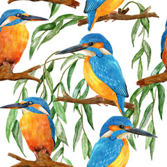 Watercolor seamless hand drawn pattern with wild kingfisher bee-eater birds in forest woodland. Wildlife natural vintage background with floral leaves greenery branches, nature bird flying design.