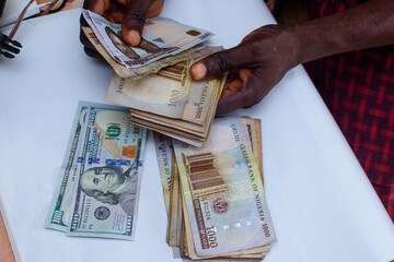 African hands holding multiple spread nigerian currency, money or cash with dollar and Naira notes...