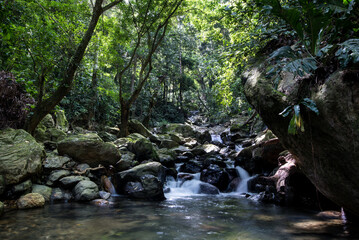 Langzeitbelichtung fließendes Wasser Wildbach im kolumbianischen Amazonas Regenwald.