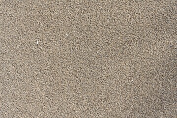 Gray sand texture