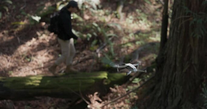 Drone films an adult male walking across a fallen tree in the forest. Shot on Canon R5