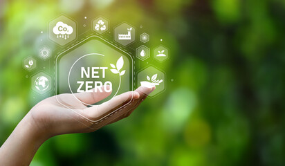 The concept of carbon neutral and net zero. natural environment A climate-neutral long-term strategy greenhouse gas emissions targets with green net center icon on hand cap and green background - obrazy, fototapety, plakaty