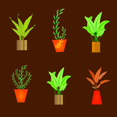 Flora potted plant for decorative abstract background vector illustration