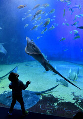 水族館で楽しむ男の子