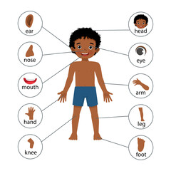 little African boy illustration poster of human body parts with diagram text label chart for educational purpose