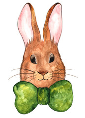 Brown Easter bunny, Watercolor illustration