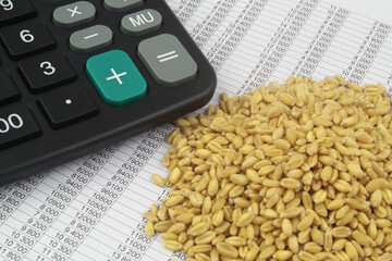 Wheat export and price of wheat concept. Calculator and wheat seeds on financial documents.