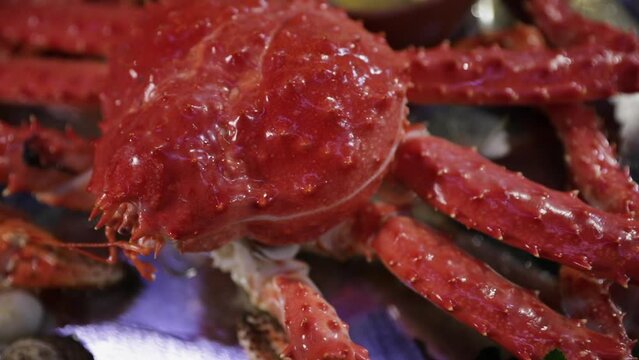 Gourmet gastronomy. Closeup view of a Giant Spider Crab, Lithodes santolla plate presentation.
