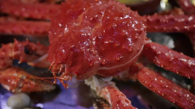 Seafood. Closeup view of a Giant Spider Crab, Lithodes santolla plate presentation.