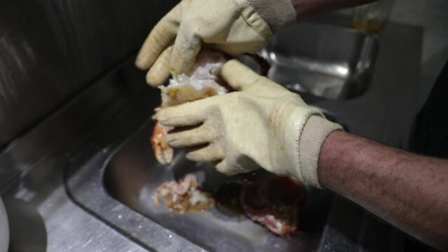 Gastronomy. Cooking in the kitchen. Restaurant chef putting Spider Crab, Lithodes santolla, meat and shell into boiling sea water and covering the pan.