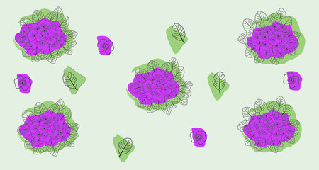 African violet flowers and green leaves illustration